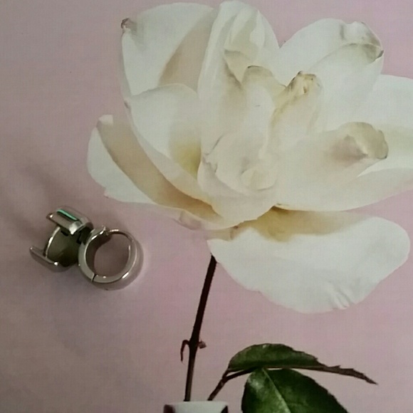 Stainless Steel Earring Huggers