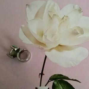 Stainless Steel Earring Huggers