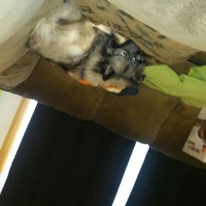 Meet your Posher, Cynthia