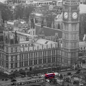 Meet your Posher, David stacey