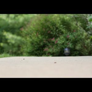 Meet your Posher, Sanaz