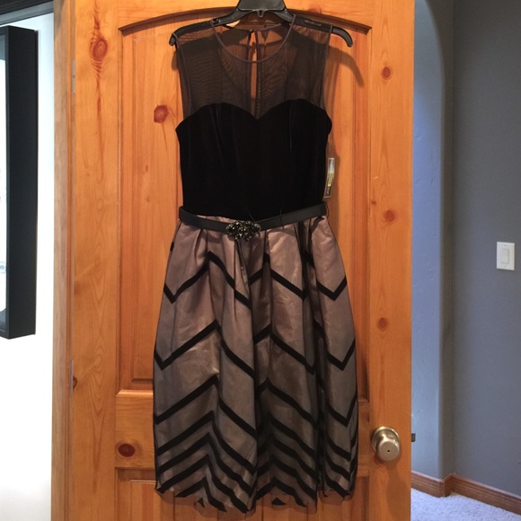 Jessica Howard semi-formal cocktail dress