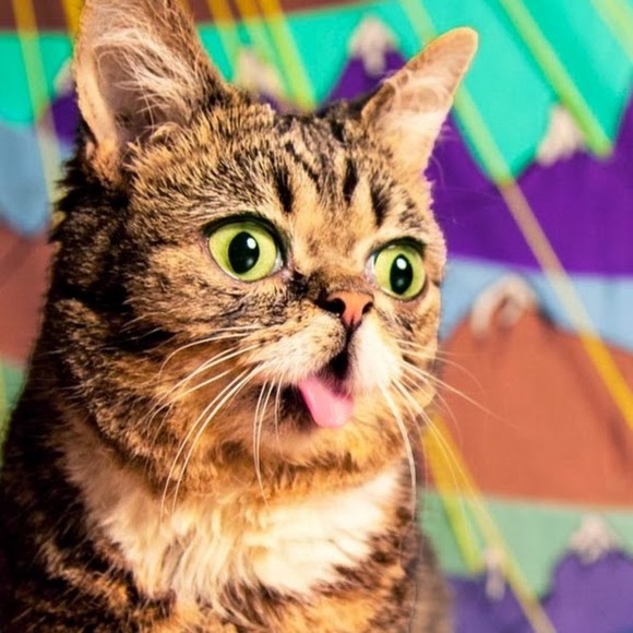 Meet your Posher, Alexa - Picture 1 of 1