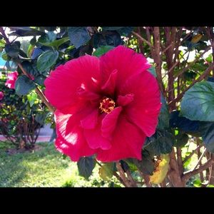 Meet your Posher, Sofia