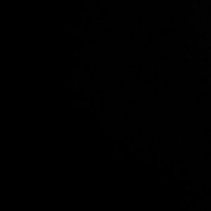 Meet your Posher, Carolina