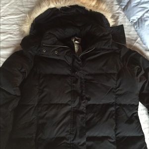 LL Bean Women's Jacket