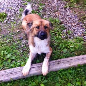 Meet your Posher, Krista