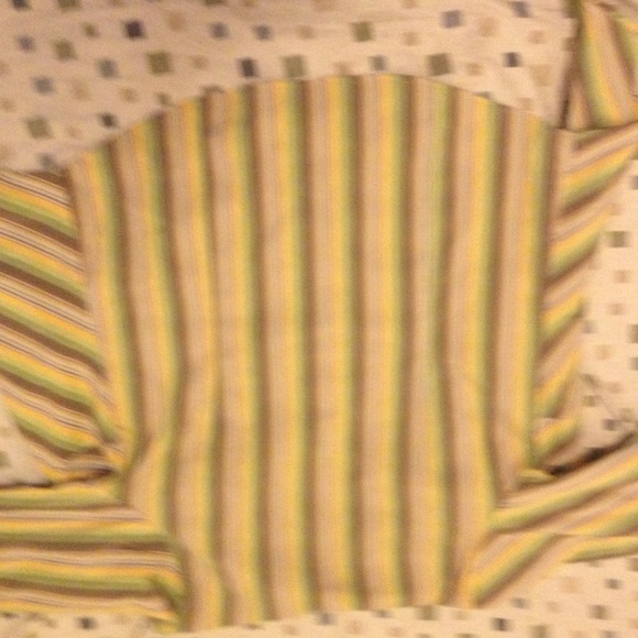 Bottom down shirt