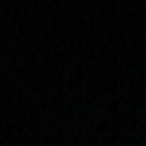 Meet your Posher, Delicia