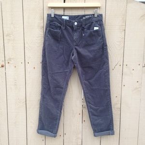 GAP NWT Sexy Boyfriend Cords