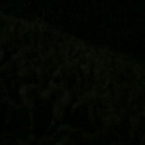 Meet your Posher, Lila