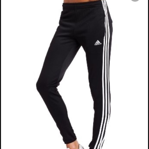 adidas originals fitted sweatpants