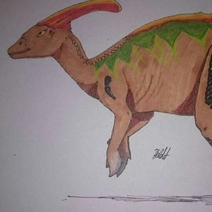 Meet your Posher, Zachary