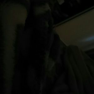 Meet your Posher, Yosselin