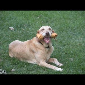 Meet your Posher, Marla