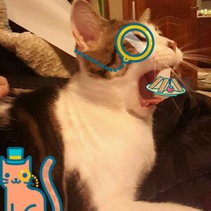 Meet your Posher, Cassandra