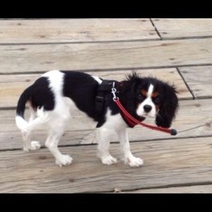 Meet your Posher, Marilyn