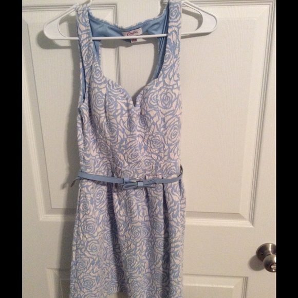 Blue rose dress.