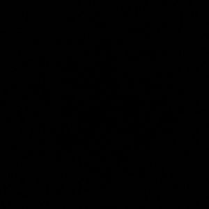 Meet your Posher, Jennie