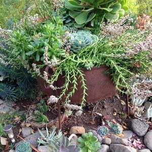 Meet your Posher, Tina