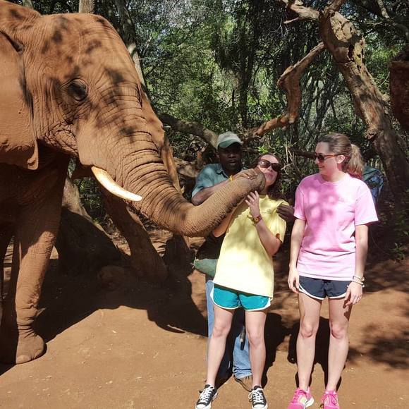 Meet your Posher, Chelsea - Picture 1 of 1