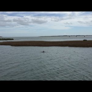 Meet your Posher, Jeanie