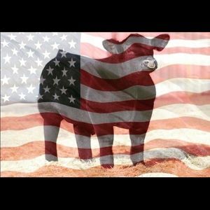 Meet your Posher, Lee ann