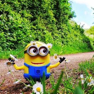 Meet your Posher, Ava