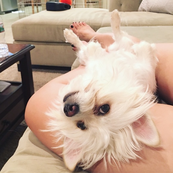 Meet your posher, Joy! IG: @YERALMONDJOY - Picture 5 of 7