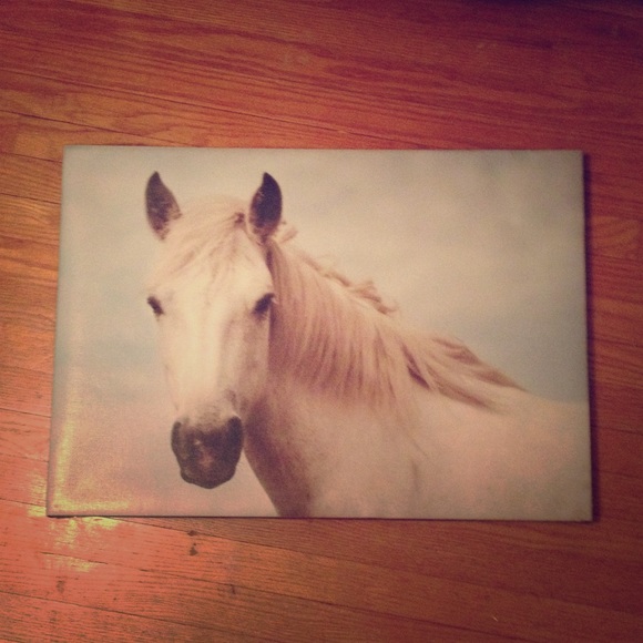 Beautiful horse painting