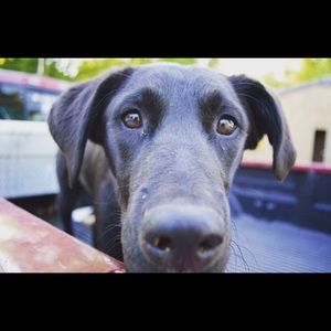 Meet your Posher, Rebecca