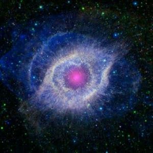 Meet your Posher, Kirk