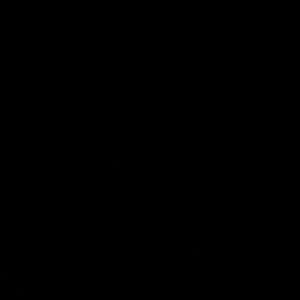 Meet your Posher, Carmani