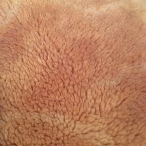 Meet your Posher, Heidi