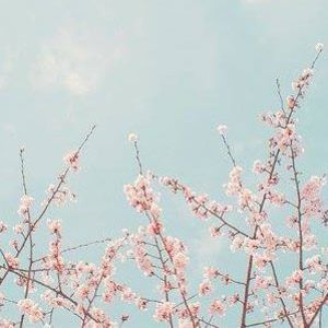 Meet your Posher, Gillian