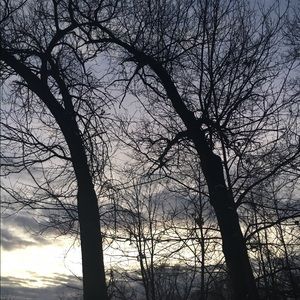 Meet your Posher, Kelsie