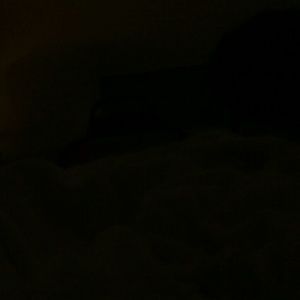 Meet your Posher, Jenifer