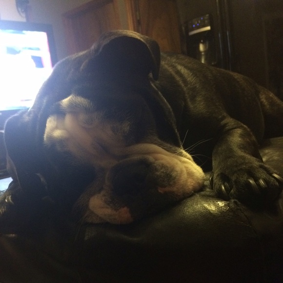 Meet your Posher, Tiffany