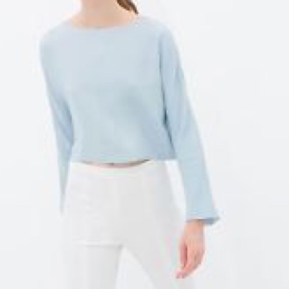 Zara basic long sleeve crop top