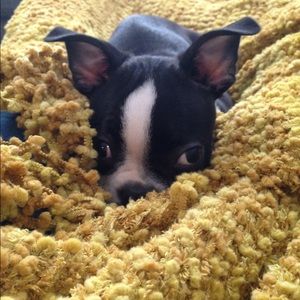 Meet your Posher, Tara