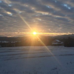 Meet your Posher, Sydney