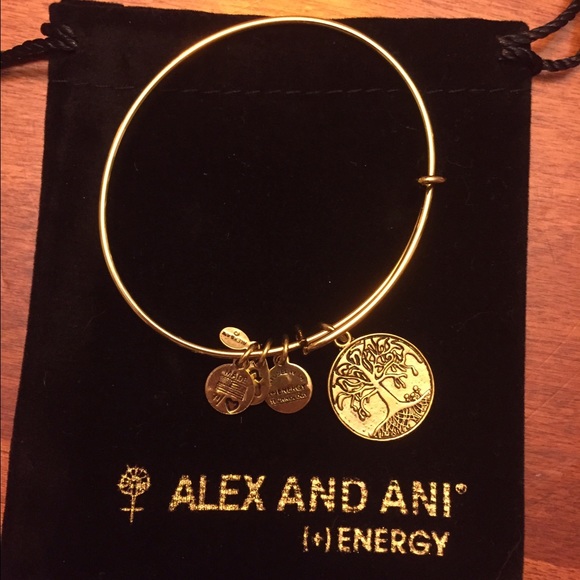 Alex and Ani Bracelet