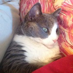 Meet your Posher, Kris