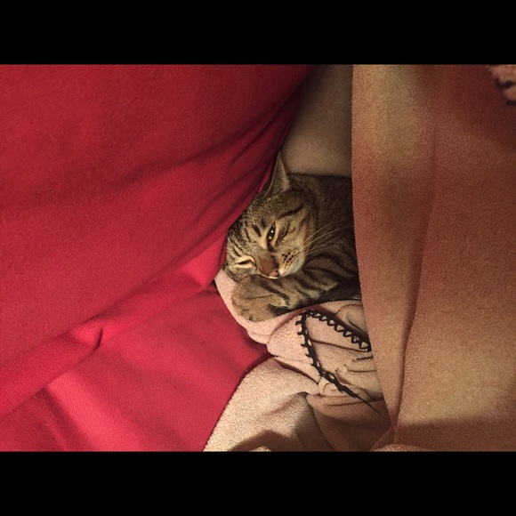 Meet your Posher, Maddie