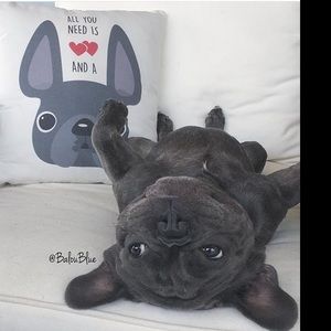 Meet your Posher, Priscilla