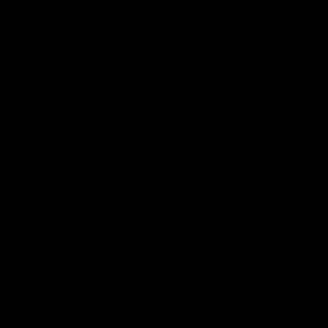 Meet your Posher, Shainah