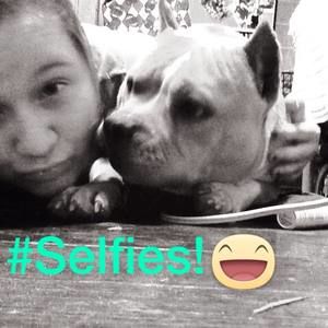 Meet your Posher, Krimson