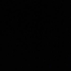 Meet your Posher, Charlotte