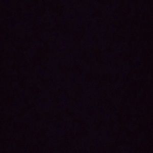 Meet your Posher, Savanna