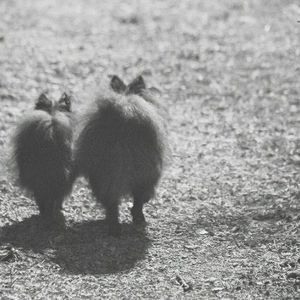 Meet your Posher, Marcela